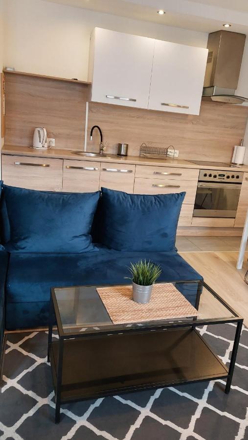 Stary Toruń Apartament Katrin II מראה חיצוני תמונה