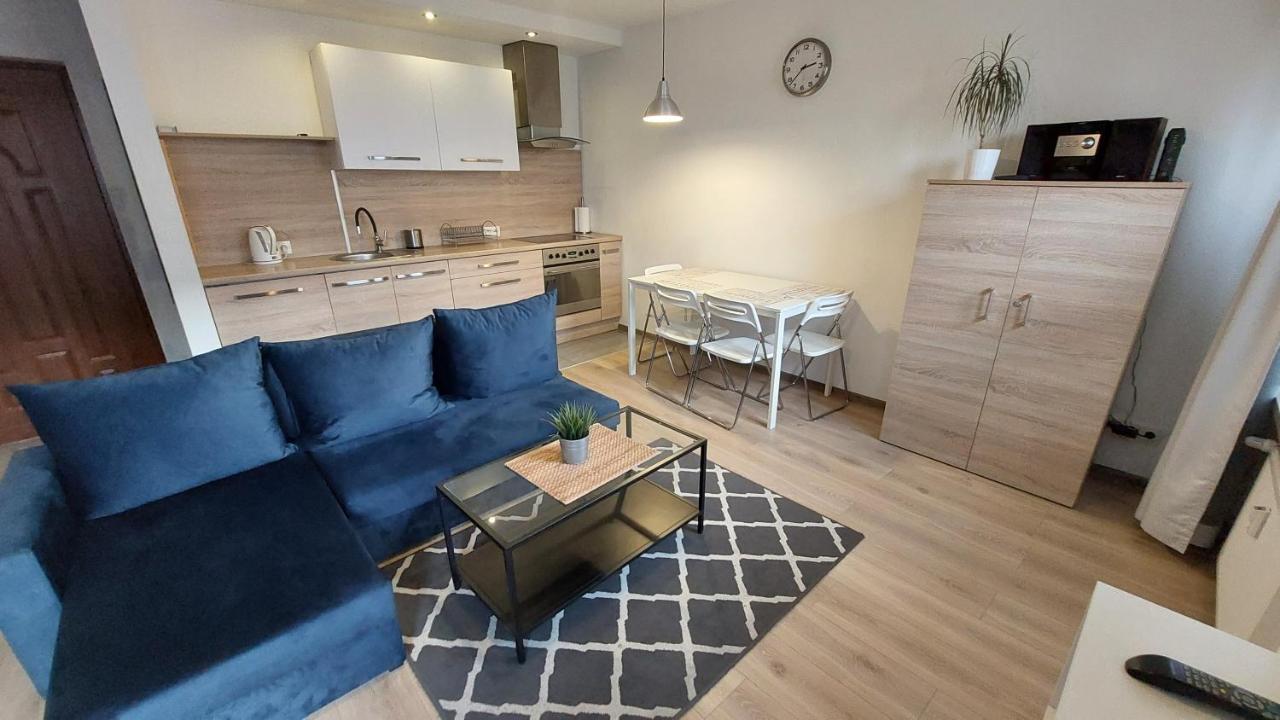 Stary Toruń Apartament Katrin II מראה חיצוני תמונה